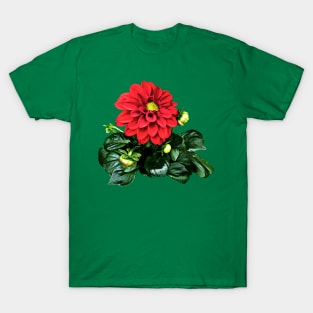 Red Dahlia Dahlinova T-Shirt